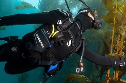 FREEANDIVERS