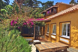 STUDIO MAZO THE GLAMPING
