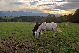 Les 3 Collines