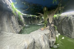 FUTUROTEL GRANADA SPA GARDEN