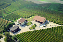 Azienda Agricola Il Pignetto