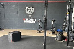 G2 well-being & performance