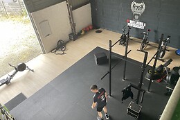 G2 well-being & performance