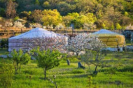 EL JARDÍN DE LAS DELIZIAS