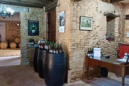 CENT PIQUES – BODEGAS VINADOS