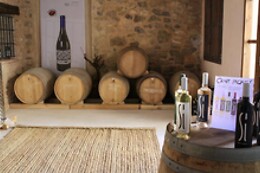 CENT PIQUES – BODEGAS VINADOS