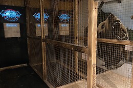 La tanière des enragés