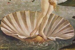 KAI SENSACIONES