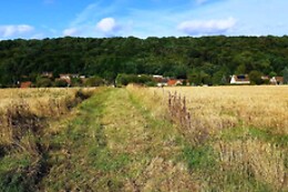 L'atelier naturellement vôtre