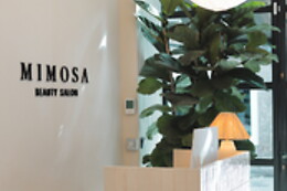 MIMOSA BEAUTY SALON CENTRO