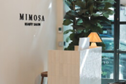 MIMOSA BEAUTY SALON CENTRO