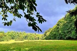 Sylvothérapie Bretagne