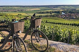 My Vintage Tour Company