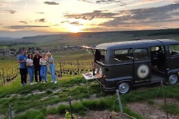 My Vintage Tour Company
