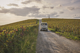 My Vintage Tour Company