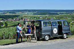 My Vintage Tour Company