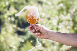 LA PIRATA BREWING
