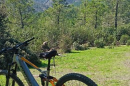 BICIRANA