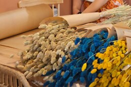Art & Play Studio