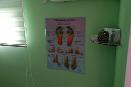 Bevilacqua Riflessologia
