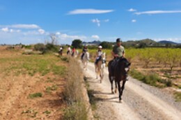 CENTRO HÍPICO CABALLOS NAVARRO