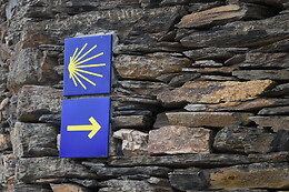 CAMINO COMPOSTELA