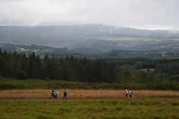 CAMINO COMPOSTELA