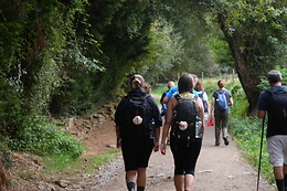 CAMINO COMPOSTELA