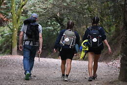 CAMINO COMPOSTELA