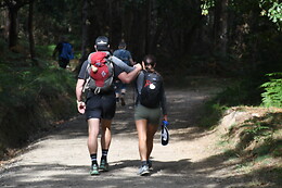 CAMINO COMPOSTELA