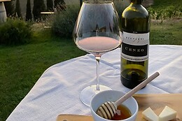 Begnardi Vini