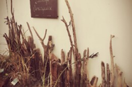 Auberge Camarguaise