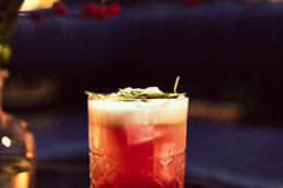 Dutch Courage | Cocktail Bar Amsterdam