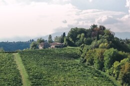 Az. Agricola Monban