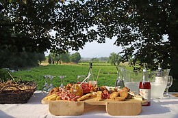 Cantina La pesenata