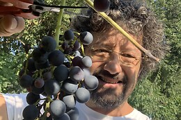 Cantina La pesenata