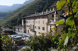 Casa Vinicola Triacca