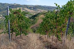 Franchina e Giarone