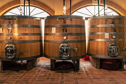 Agricola Montenigo