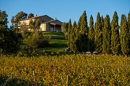 Capua Winery