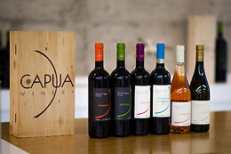 Capua Winery