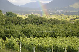Cantina del Barone