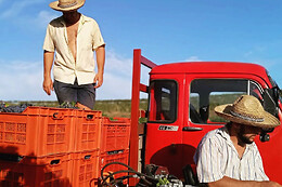 Azienda Agricola Bertolino