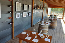 BODEGAS PETRÓN