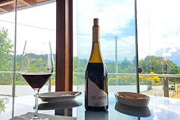 BODEGAS PETRÓN