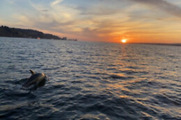 Anthia Diving Center
