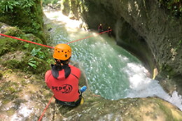 Pep'S Nature