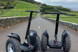 Azores Nature Tours