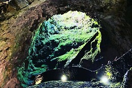 Azores Nature Tours