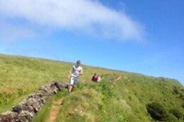 Azores Nature Tours